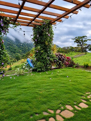 A garden with a wooden pergola, lush greenery, and a stone pathway.