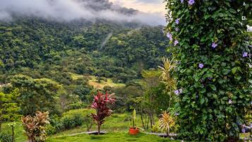 A lush green landscape with a wooden pergola and flowering plants.
