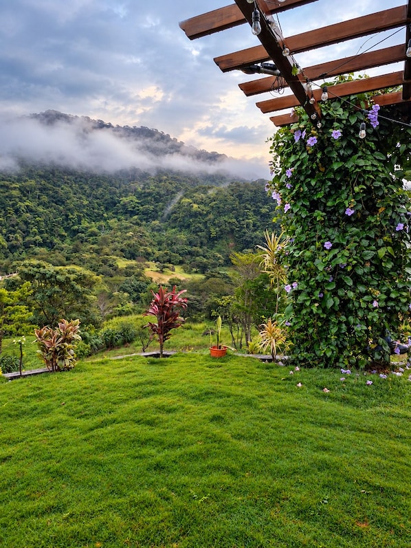 Un paisaje exuberante y verde con una pérgola de madera y plantas en flor.