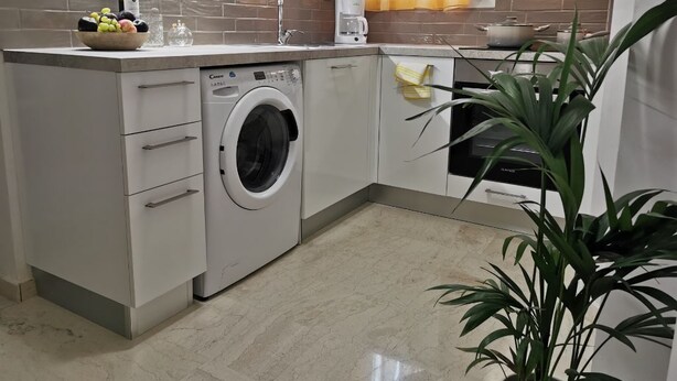 Eine moderne Küche mit Einbauwaschmaschine, Kaffeemaschine und einem Blumentopf.