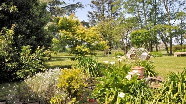 A garden with various plants and trees, a wooden bench, and a decorative metal sculpture. - Gite Coriosolites (Quemper-Guézennec)