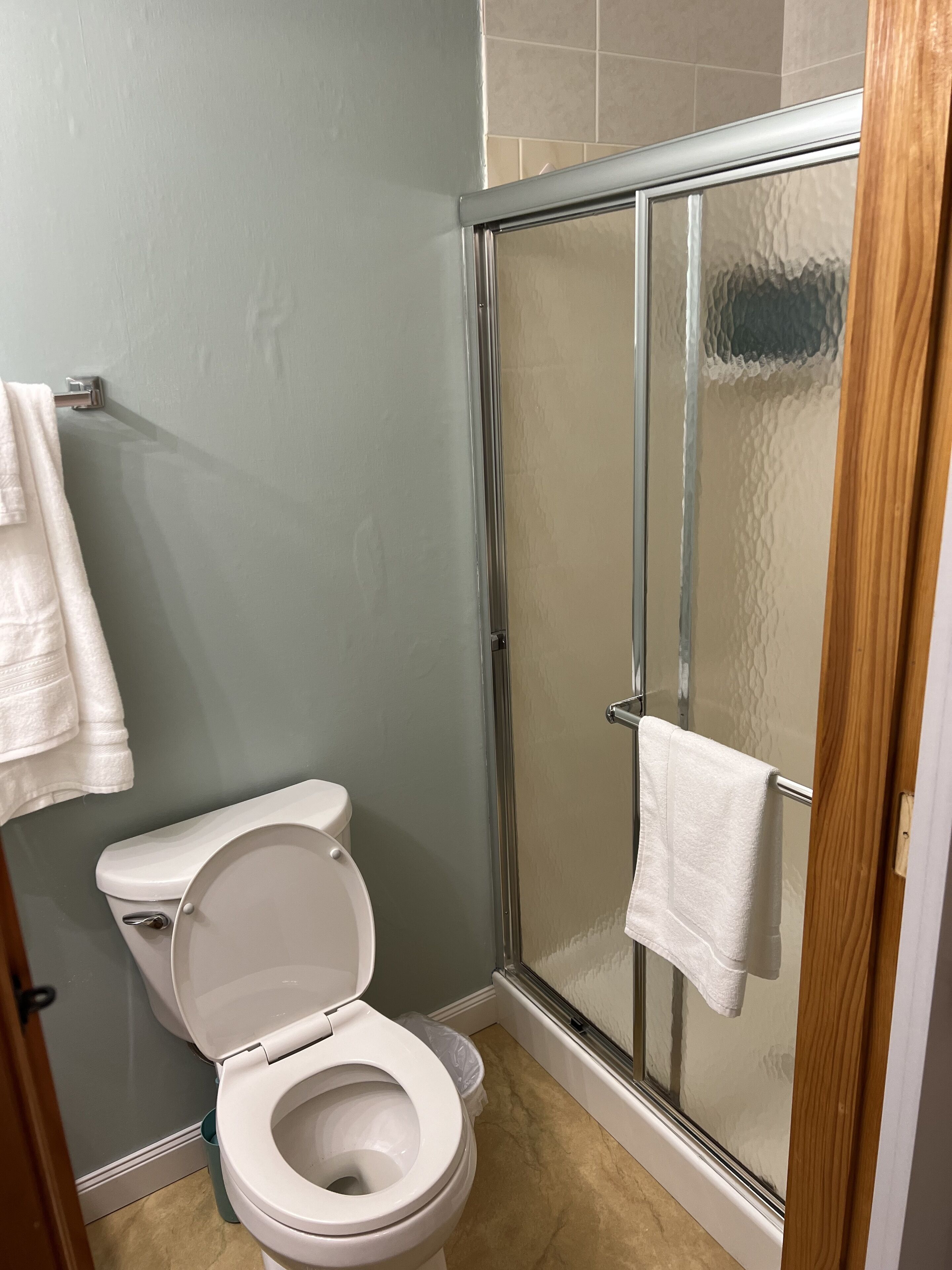A bathroom with a toilet, a glass shower enclosure, and a towel rack.
