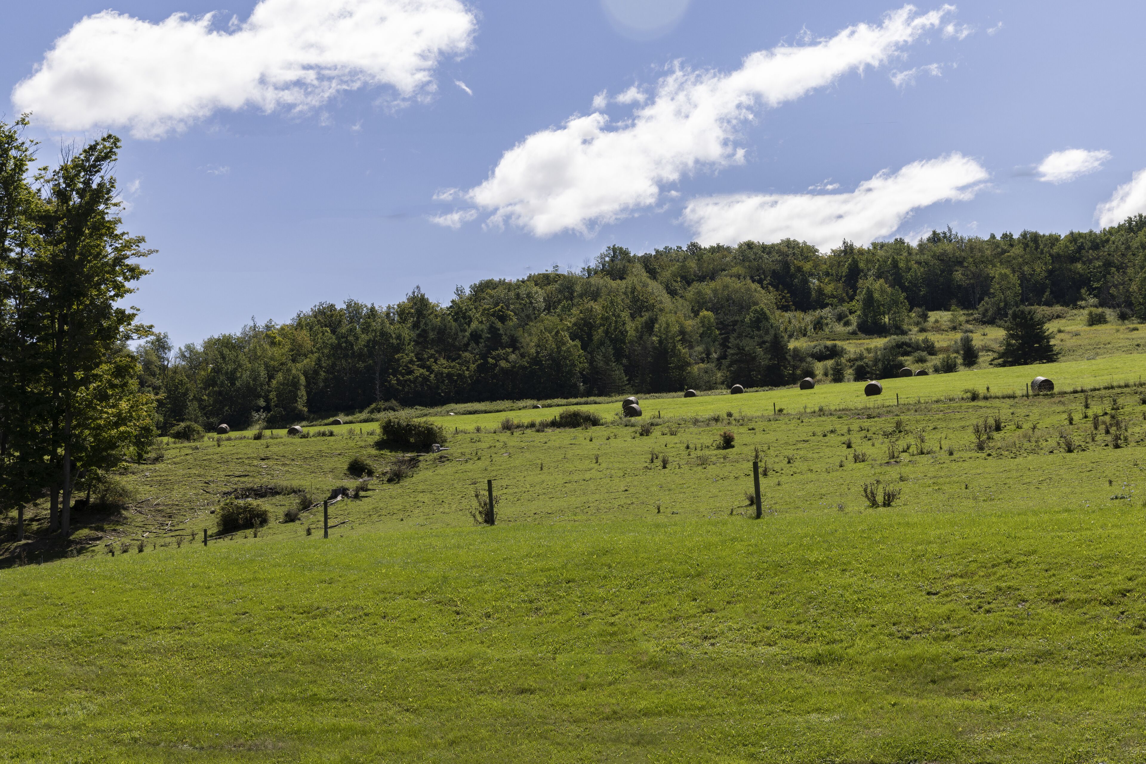 A grassy field with hay bales and a fence.