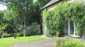 Un patio empedrado con césped, rodeado de abundante vegetación y árboles.