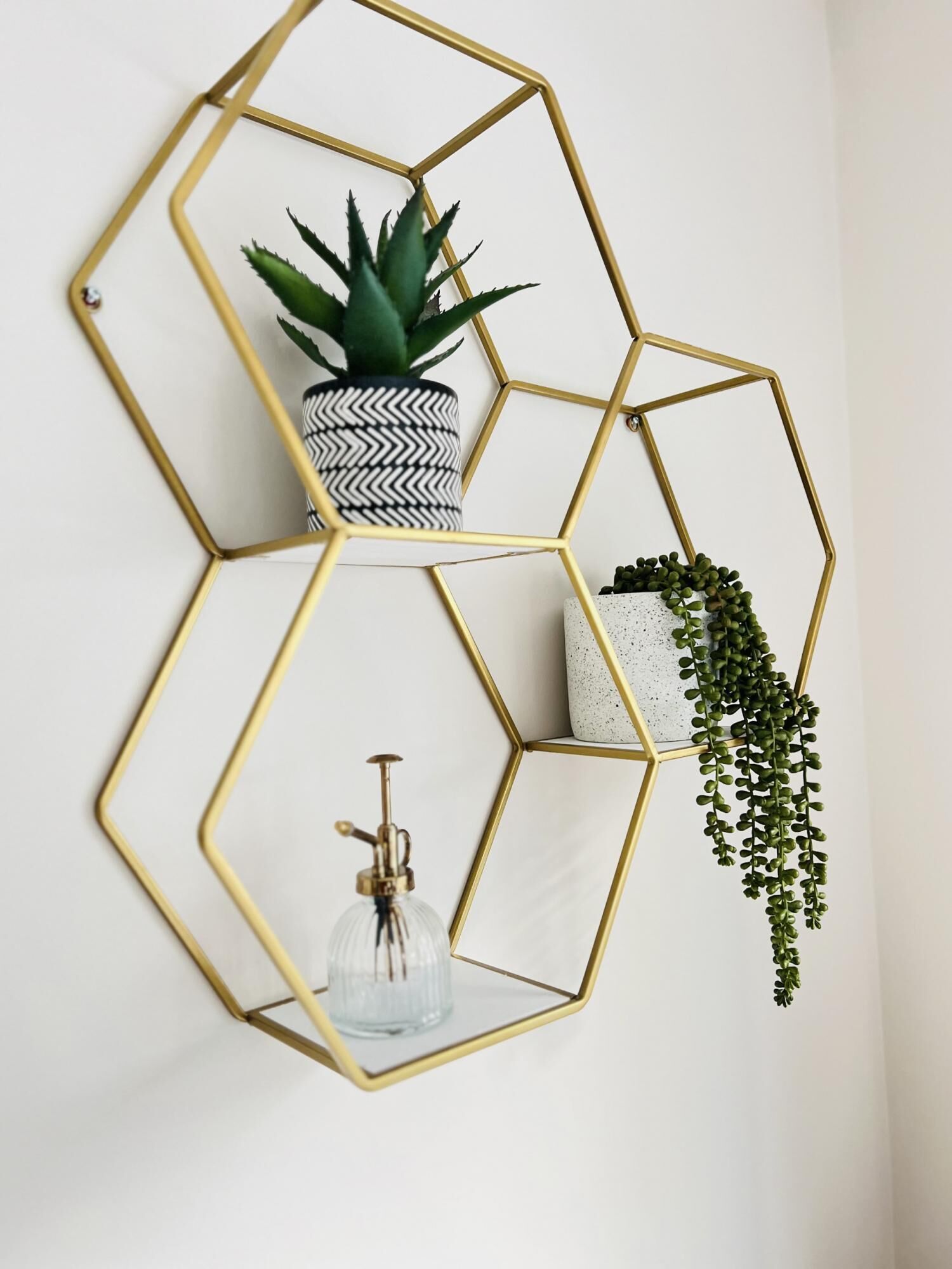 Eine an der Wand befestigte sechseckige goldene Metallablage mit drei Blumentöpfen und einer Glasflasche.