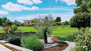 A landscaped garden with a stone pathway, a variety of plants, and a building in the background. - Casa Ivanovac with pool and large front yard (Rogočana)