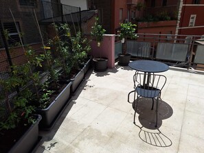 Outdoor dining - TOURIST RENTAL THE APPLE  ROME (3 Bedroom Apartment in Rome) (Roma)