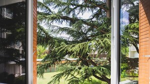 A window with a view of a large tree and a brick wall. - Les Pommaries - Calm T2 near the Lake (Annecy)