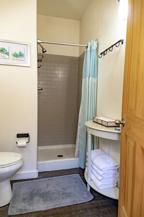 Een badkamer met toilet, douche en wastafel.