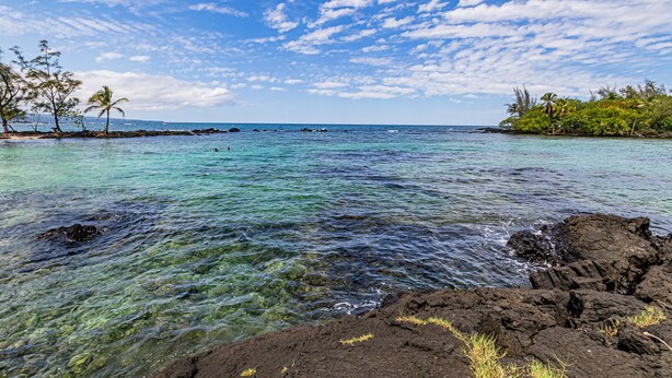 A clear view of a tropical beach with rocky shoreline, calm turquoise waters, and scattered palm trees.
