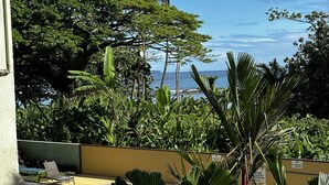 A view of a beach with palm trees and a yellow wall.