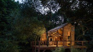 A wooden cabin with a deck, surrounded by dense forest. - 6 Person Cabin, Surrounded by Nature in Tintagel (Tintagel)