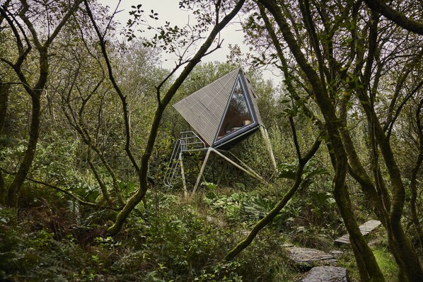 Hytte | Overnatningsstedets område