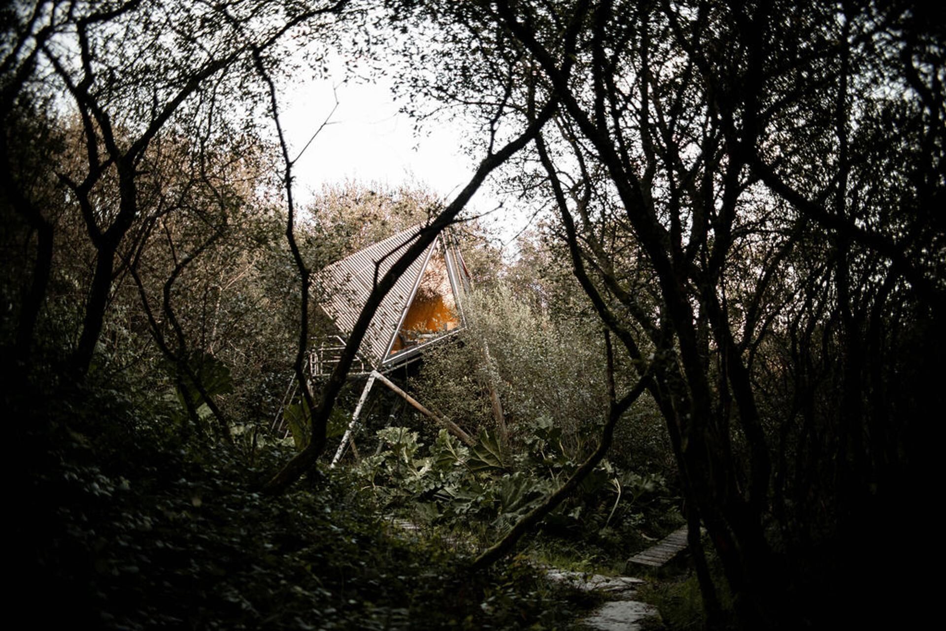 A secluded treehouse with a sloped roof, surrounded by dense forest.