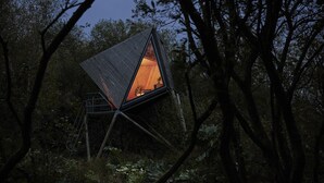 A triangular treehouse with a visible interior, surrounded by dense forest. - K4 Kudhva Treehouse Cabin With sea View (Tintagel)