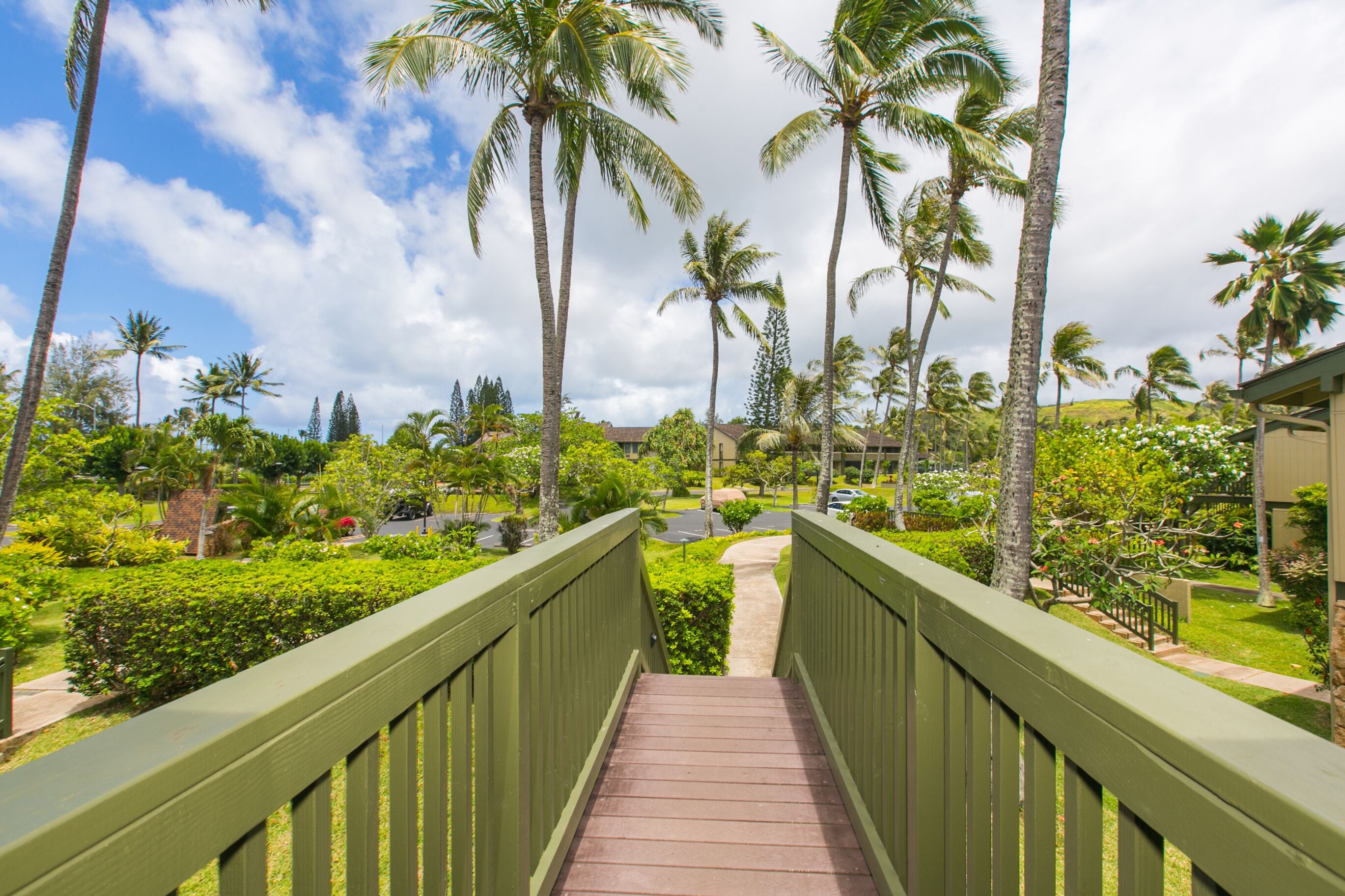 A wooden bridge leading to a lush garden with palm trees and a clear sky.