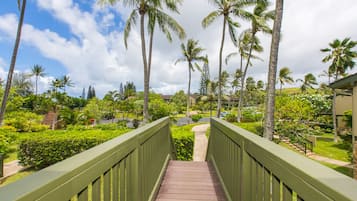A wooden bridge leading to a lush garden with palm trees and a clear sky.