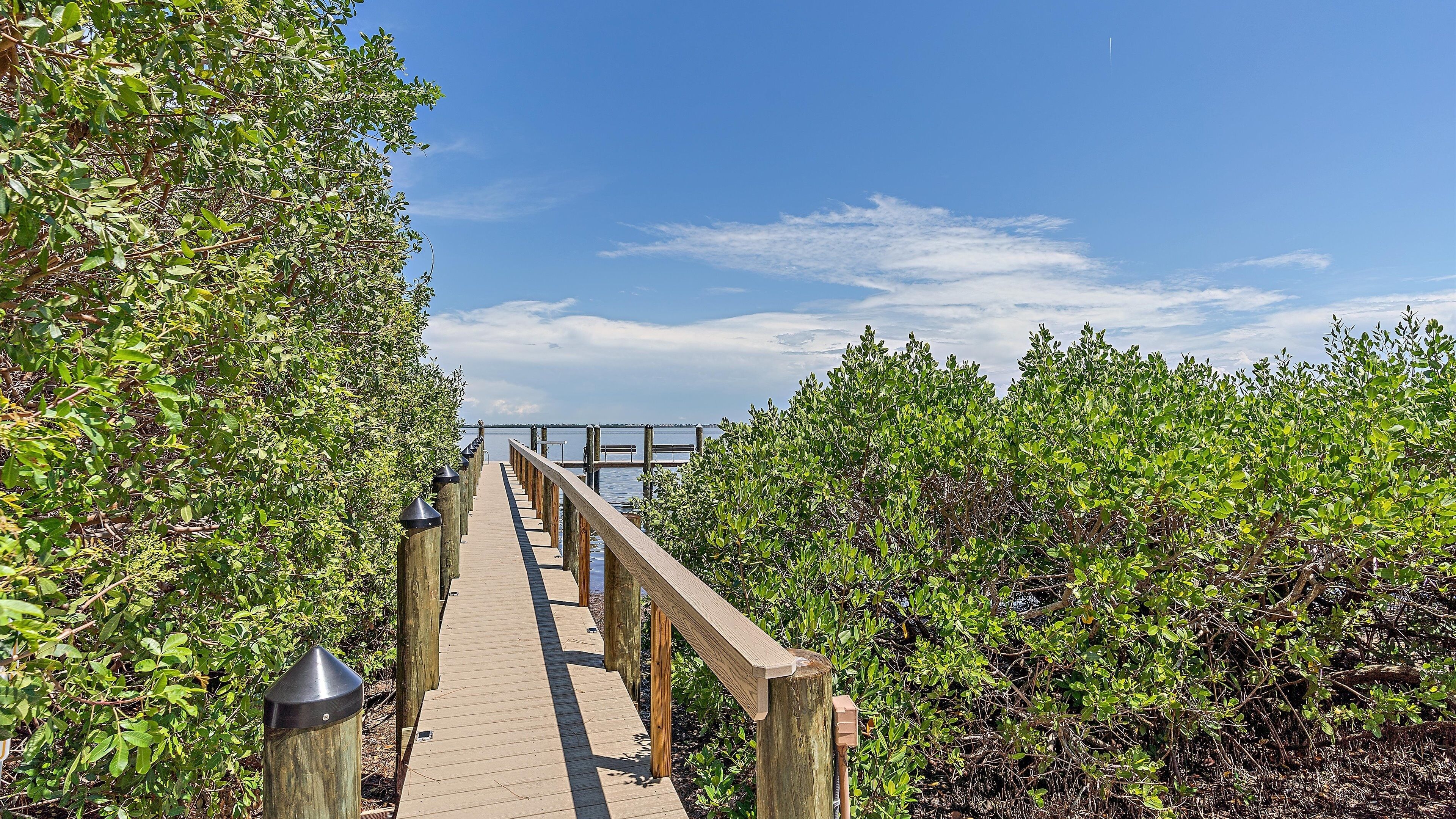 A wooden boardwalk leading to a dock, surrounded by dense greenery.