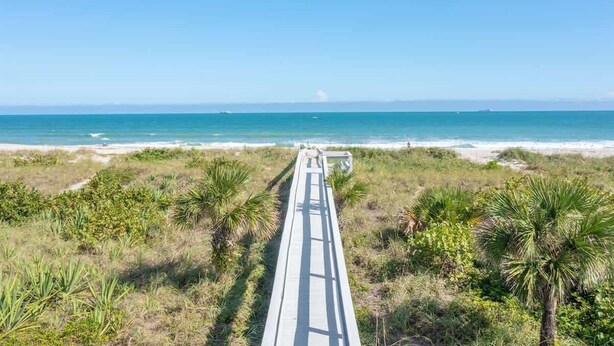 Una playa con un paseo marítimo de madera que conduce al océano, rodeada de palmeras y vegetación costera.