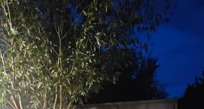 Le Jardin Secret