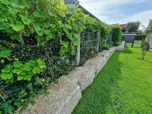 Property grounds - Luxus Ferienwohnung in Seenähe (Spalt)