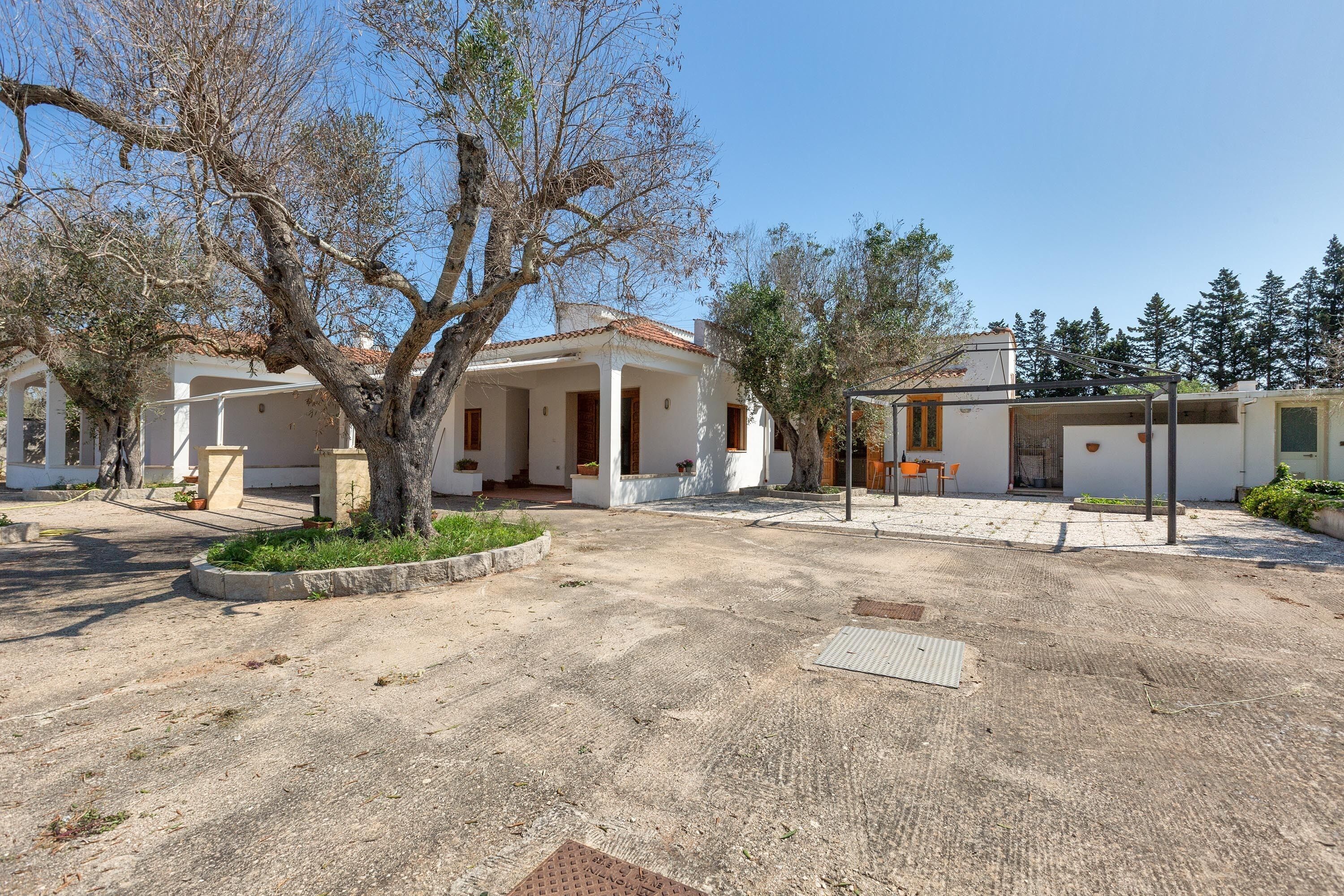 A courtyard with a white building, a tree, and a pergola.