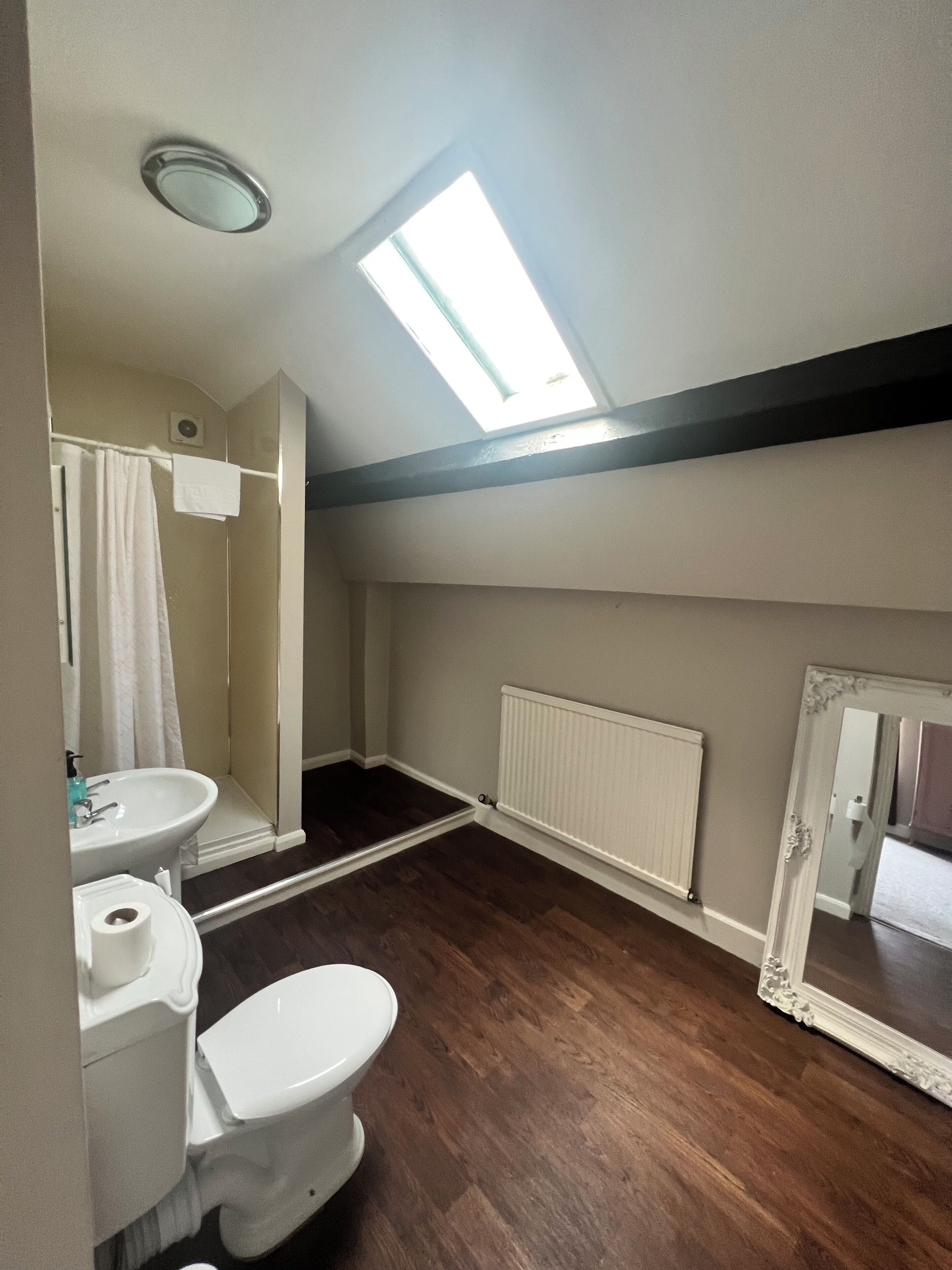 A bathroom with a skylight, a white toilet, a sink, a shower, and a large mirror.