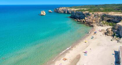 3383 Nomet House by Barbarhouse