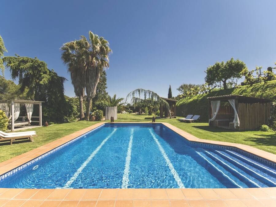 Una piscina rectangular con agua azul cristalina, rodeada por un césped cuidado y árboles.