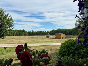 Property grounds - Relaxing Country Inn Retreat w/Heated Pool & Room to Explore (North Berwick)