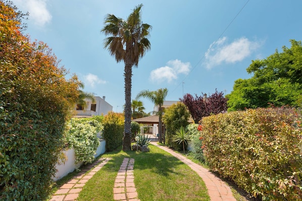 Un chemin menant à une maison agrémentée d’un palmier et de divers arbustes.