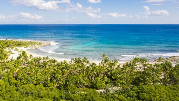 Sun loungers, beach towels