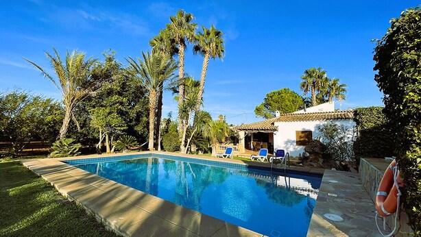 Una piscina amb gandules i palmeres.