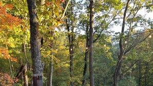 A hot tub on a wooden deck surrounded by trees with autumn foliage. - Brand New Relaxing Mountain Retreat 
 (Talking Rock)