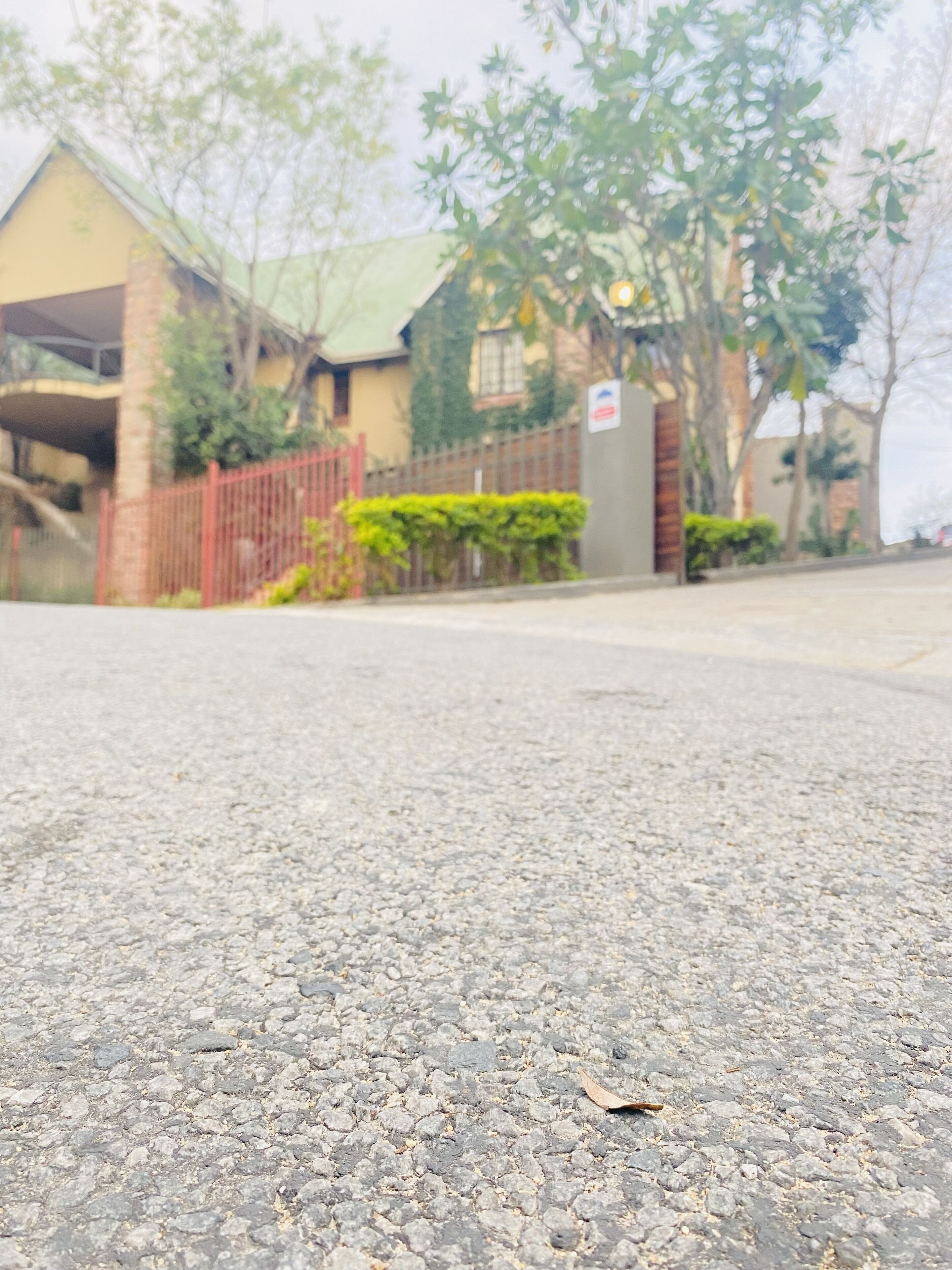 A paved road with a leaf on it.