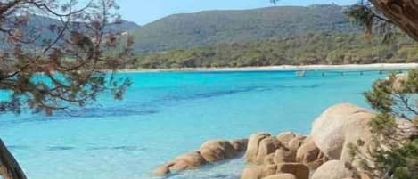 Ligstoelen aan het strand