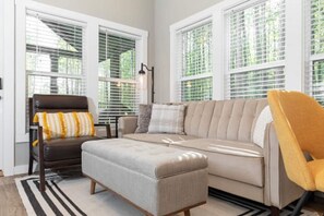 Televisor, llar de foc i reproductor de DVD 