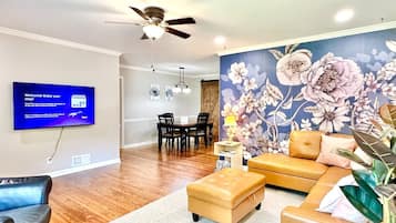 Smart TV, fireplace, books