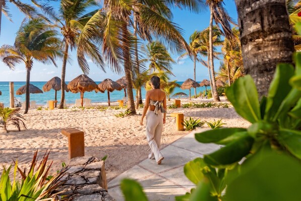 A beach with palm trees, a clear sky, and a person walking on a paved path. - The Sens Riviera By Oasis (Akumal)