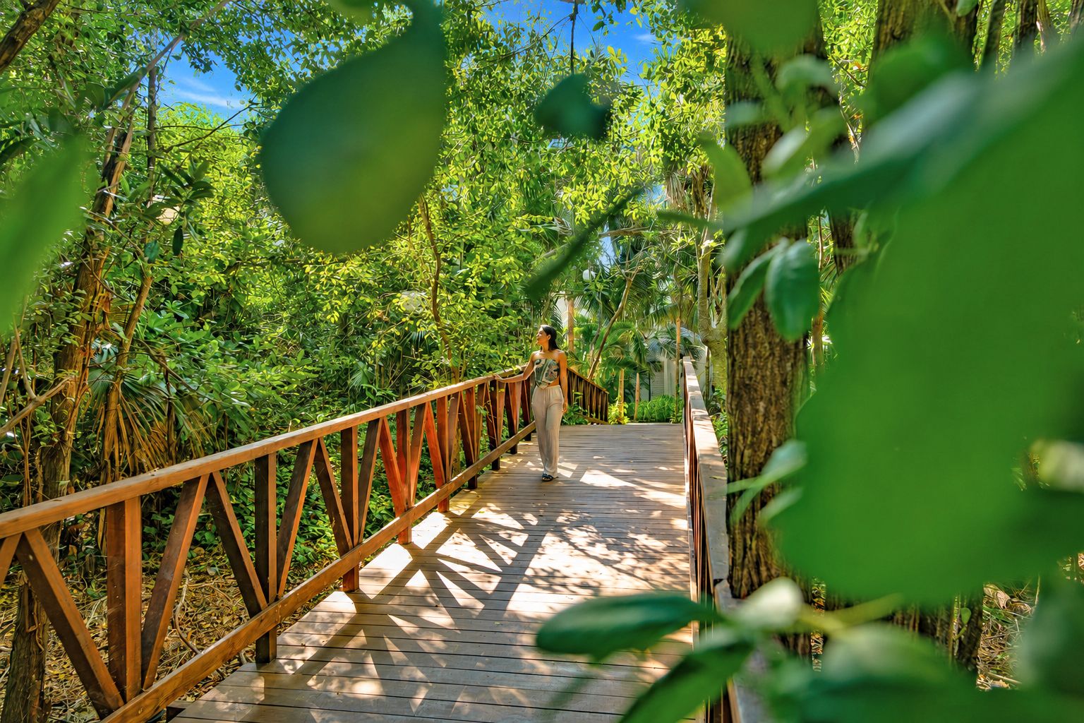 A wooden boardwalk through a dense forest with a person walking away from the viewpoint.