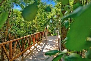 Pasarela de madera que atraviesa un bosque tupido, con una persona alejándose del mirador.