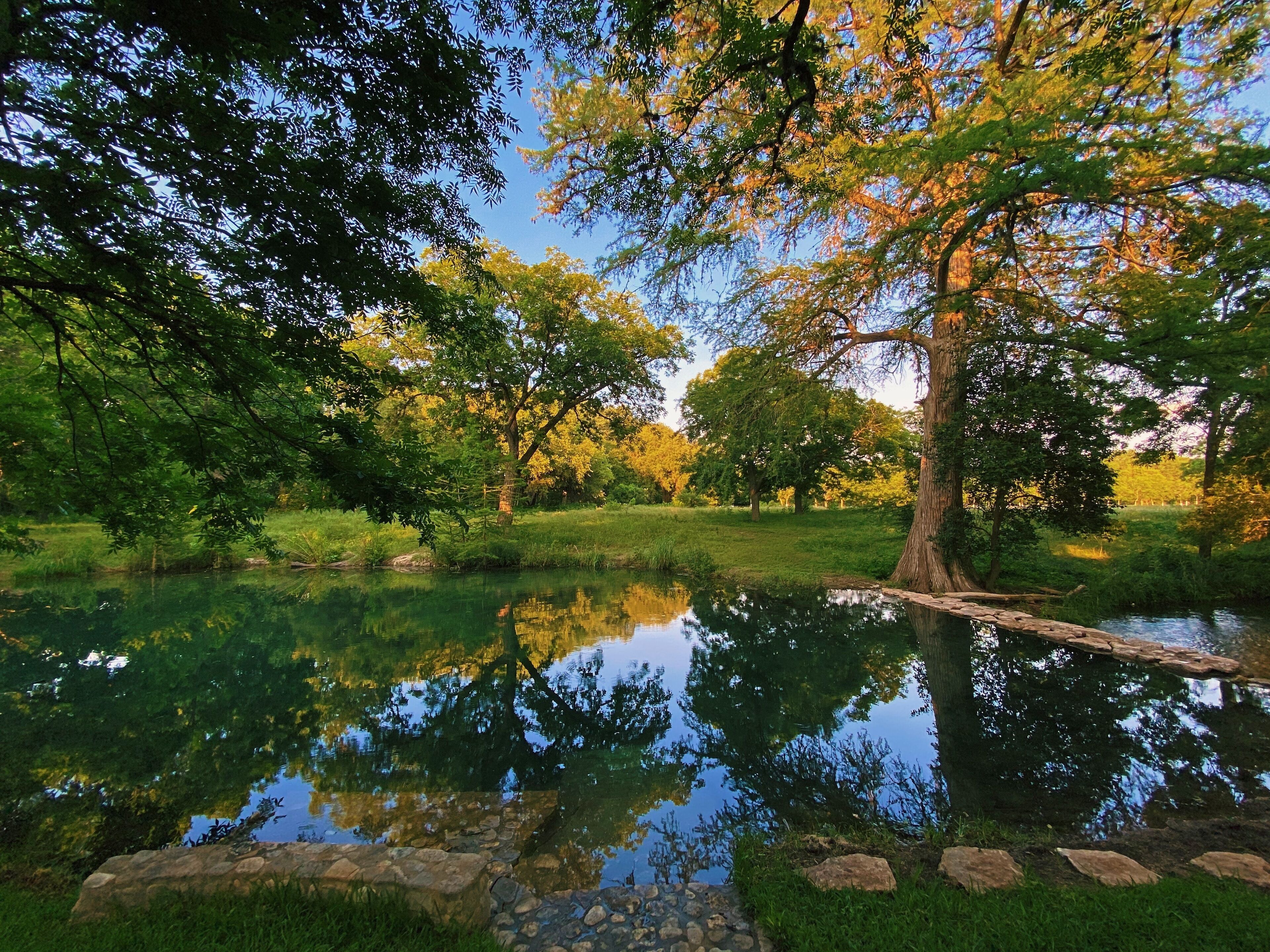 Un parc paisible avec un étang, des arbres et un sentier en pierre.