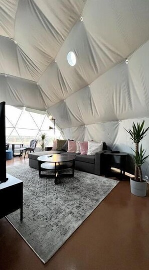 Smart TV y chimenea 