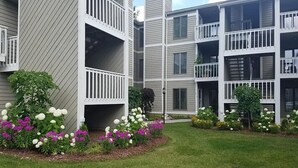 A multi-story residential building with balconies and a well-maintained garden with various flowers.