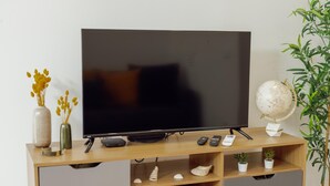 Un televisor de pantalla plana sobre un mueble bajo de madera con repisas, un globo terráqueo y pequeñas plantas.