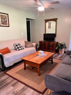 Smart TV, DVD player, books - Mountain Heaven, beautiful mountains. Bearwallow trail is Chapmanville connector (Chapmanville)