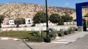 Una calle con un paso de peatones, un farol y una colina con vegetación escasa al fondo.