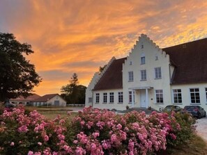 Un edificio grande y blanco con techo inclinado y múltiples ventanas, rodeado de arbustos florecientes de color rosa.