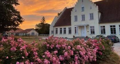 Hotel Gut Tribbevitz