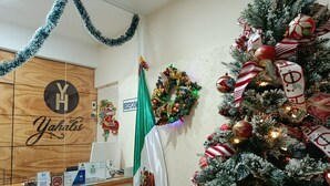 Immagine non classificata, 4 di 17, pulsante